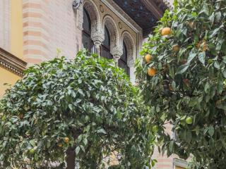 Placentines Cathedral dreams Oasis en Santa Cruz - Sevilla - 3