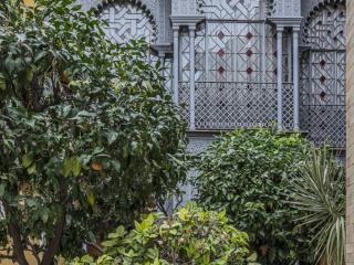 Placentines Cathedral dreams Oasis en Santa Cruz - Sevilla - 5