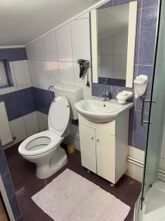 Hanul La Cetate - Cazare pentru muncitori și delegați - 3