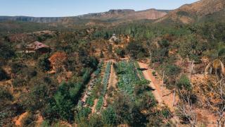 Terra Booma - Alto Paraíso de Goiás - 6