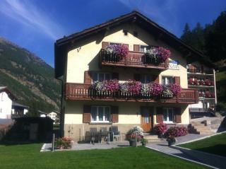 Apartment Enzian - Saas-Grund - 9