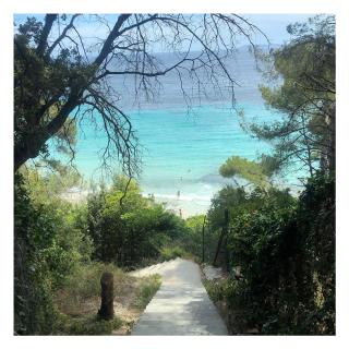 Le Mas de la Palmeraie - Appartement dans propriété privée au calme avec piscine et tennis - Bormes-les-Mimosas - 2