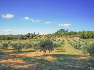 Domaine de Conillières - Saint-Maximin-la-Sainte-Baume - 8