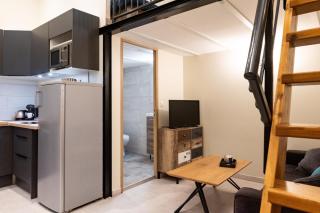 Duplex Ivoire au coeur de Montauban - Montauban - 6