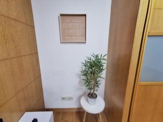 Castrelos, Vigo, diseño - Vigo - 1