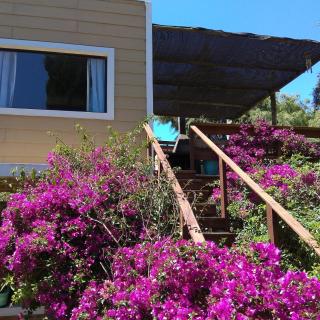 Villa Anita Piriapolis - Piriápolis - 0