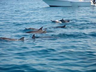 Beautique Studios 45 - 8