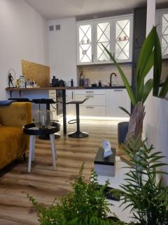 Apartament Wyspiański - 1