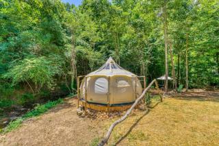 The Aries-a stargazing, luxury glamping tent - Rogersville - 2