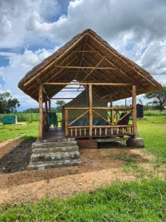Ishasha Pride Lodge - Kihihi - 3