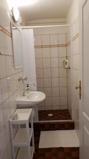 Modrá růže Třeboň - 3