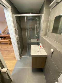Wellness apartmán Pila Kvilda - Kvilda - 8