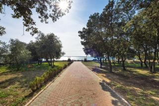 Apartment Vrsi - Mulo 5951c - Vrsi - 2
