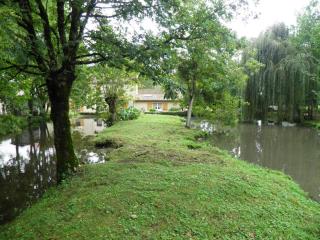 Gîte de caractère avec étang privé, jardin clos et cheminée, parfait pour les familles - FR-1-426-121 - Payré-sur-Vendée - 8