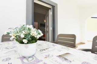 Apartment Lavender - Vir - 5