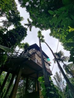 Arana Sri Lanka Eco Lodge and Yoga Center - 7