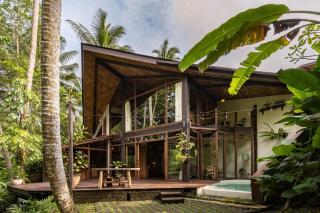 Casa Pohon Ubud - Ubud - 3