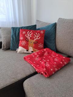 Apartament Miejski - 1