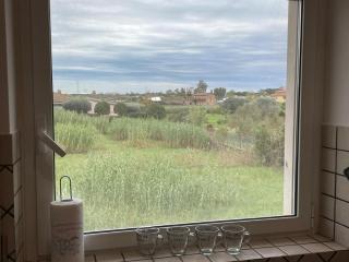 CASA ORCHIDEA - Fiumicino - 4