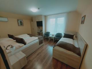 Hotel Panorama - Mosonmagyaróvár - 4