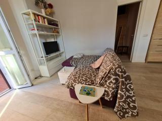 La Maison di Monica e Alice a Milano-appartamento con terrazza - Milano - 7