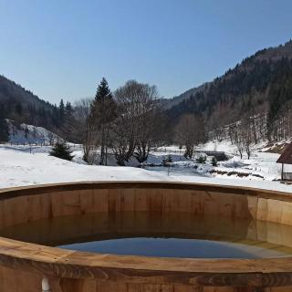 Pensiunea Poiana Țibleș - - 4