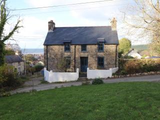Mill Cottage - Newport - 9