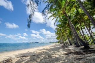 Marlin Waters Beachfront Apartments - Palm Cove - 4