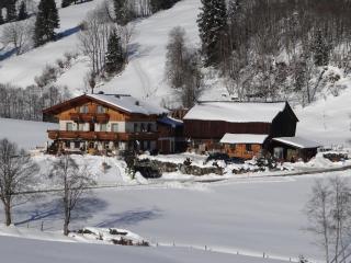 Stanglehen - Mittersill - 7