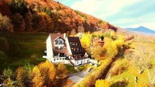 Pensiunea Ursuleț Bran - Bran - 4