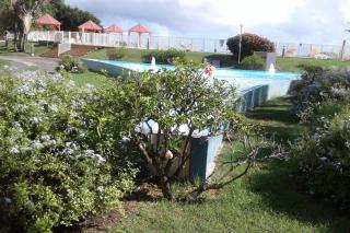 Studio La Violette - 1