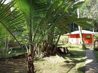 Finca Valeria Treehouses Glamping - Cocles - 4