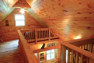 Wild Fox Cabins - - 8