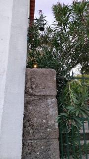 Quinta da Barbosa - Folgosinho - 4