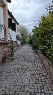 Quinta da Barbosa - Folgosinho - 8