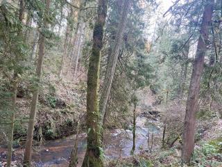 The Place To Be; With A Hot Tub! - Clackamas - 4