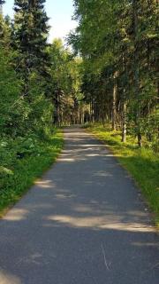 Alaskan WolfDen Close to airport centrally located - 3