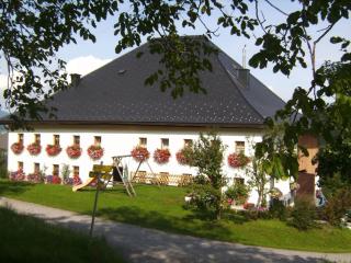 Feichtingerhof - Steinbach am Attersee - 8