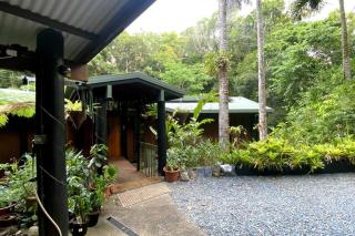 BUTTERFLY BEND - 3 Bedroom Daintree Beach House - Cow Bay - 7