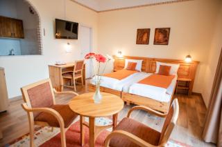 Hotel Manzard Panzio - 1