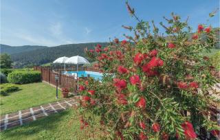 Rosmarino - 3