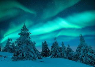 Arctic Circle Luxury House - close to Santa's Village - 7