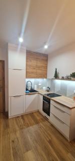 Apartament MAG - Bielsko-Biała - 1