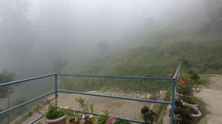 HimWanderer Camps & Cottages Pangot - Nainital - 9