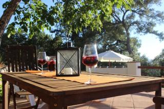 El Nogal at Cortijo de Los Cien Canos - 6