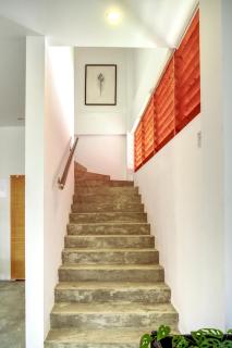 Island Ambience - Maafushi - 2