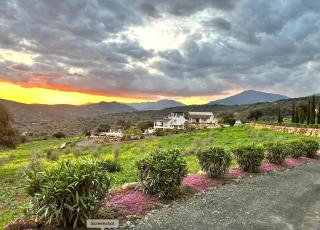 Finca Zayas Whole Estate - Periana - 9