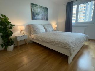 55 m2 Stylish Apartment with Balcony & Parking - Vienne - 1