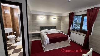 Royal Bucovina Residence Adults Only-Self check-in - Câmpulung Moldovenesc - 4