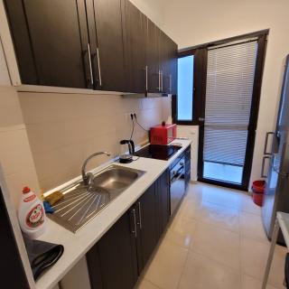 Anastasia Bratianu Apart 28 A Self Check from 2 PM - Bucarest - 5